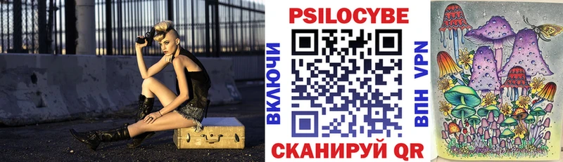 Псилоцибиновые грибы Cubensis  гидра вход  Зверево 